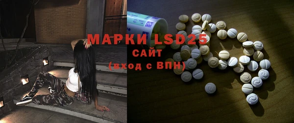 индика Абаза