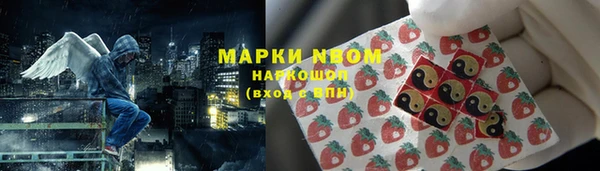 индика Абаза