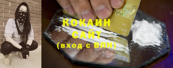индика Абаза
