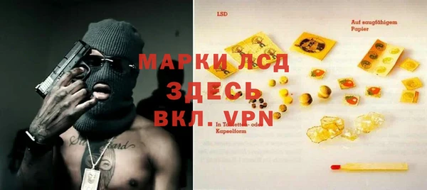 индика Абаза