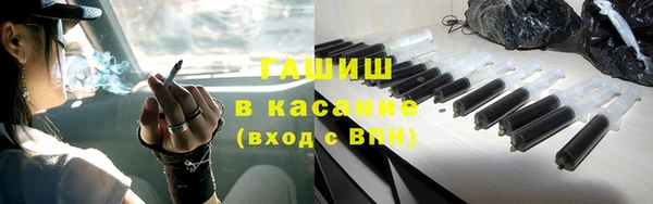 индика Абаза
