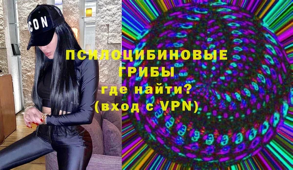 индика Абаза