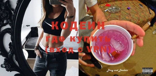 индика Абаза