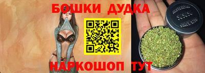 прущие крисы Кингисепп