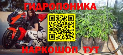 круглые Кимры
