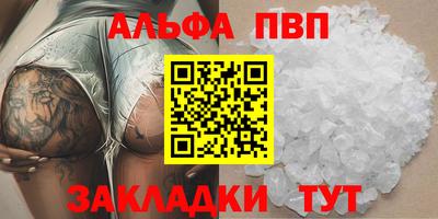 прущие крисы Кингисепп