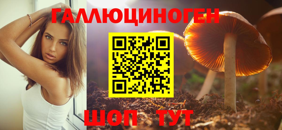 Псилоцибиновые грибы Psilocybine cubensis Новоуральск