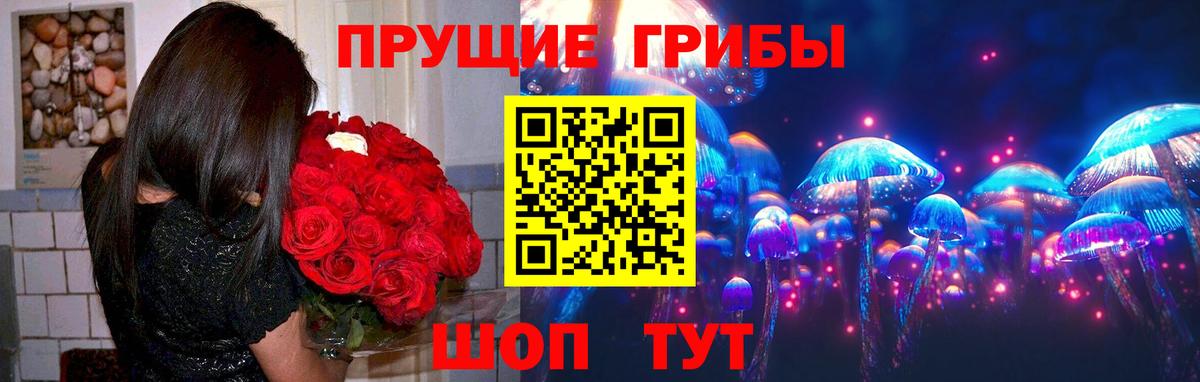Галлюциногенные грибы прущие грибы  Вход с VPN  Новоуральск  Псилоцибиновые грибы Magic Shrooms 